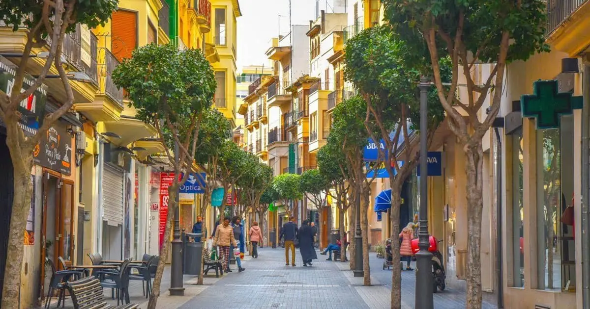 seo-local-palma-calvia-inca-Paseo-R2